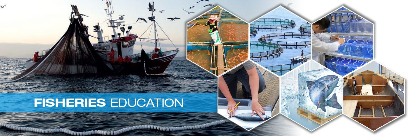 GEM & JEWELLERY EDUCATION